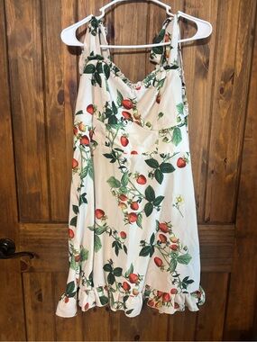 Womens Cider 0X Strawberry Print ruffle Mini Dress Cottagecore Coquette Picnic